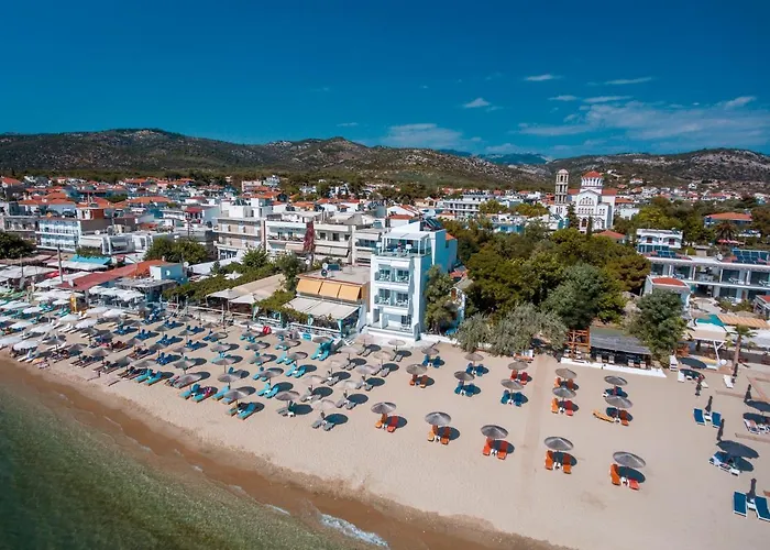 Mr & Mrs K Bianco Potos